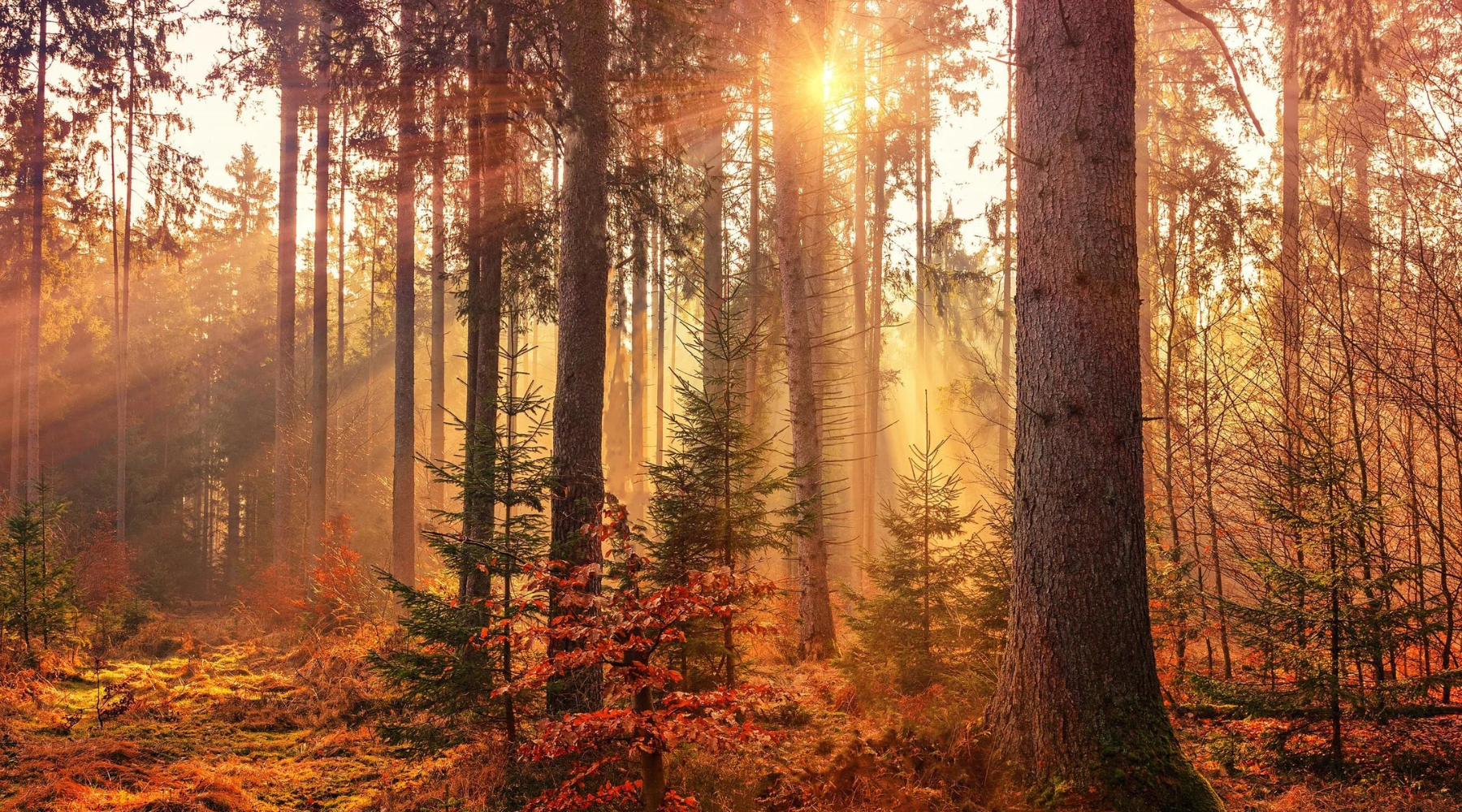 Thinking outside the box made easy!