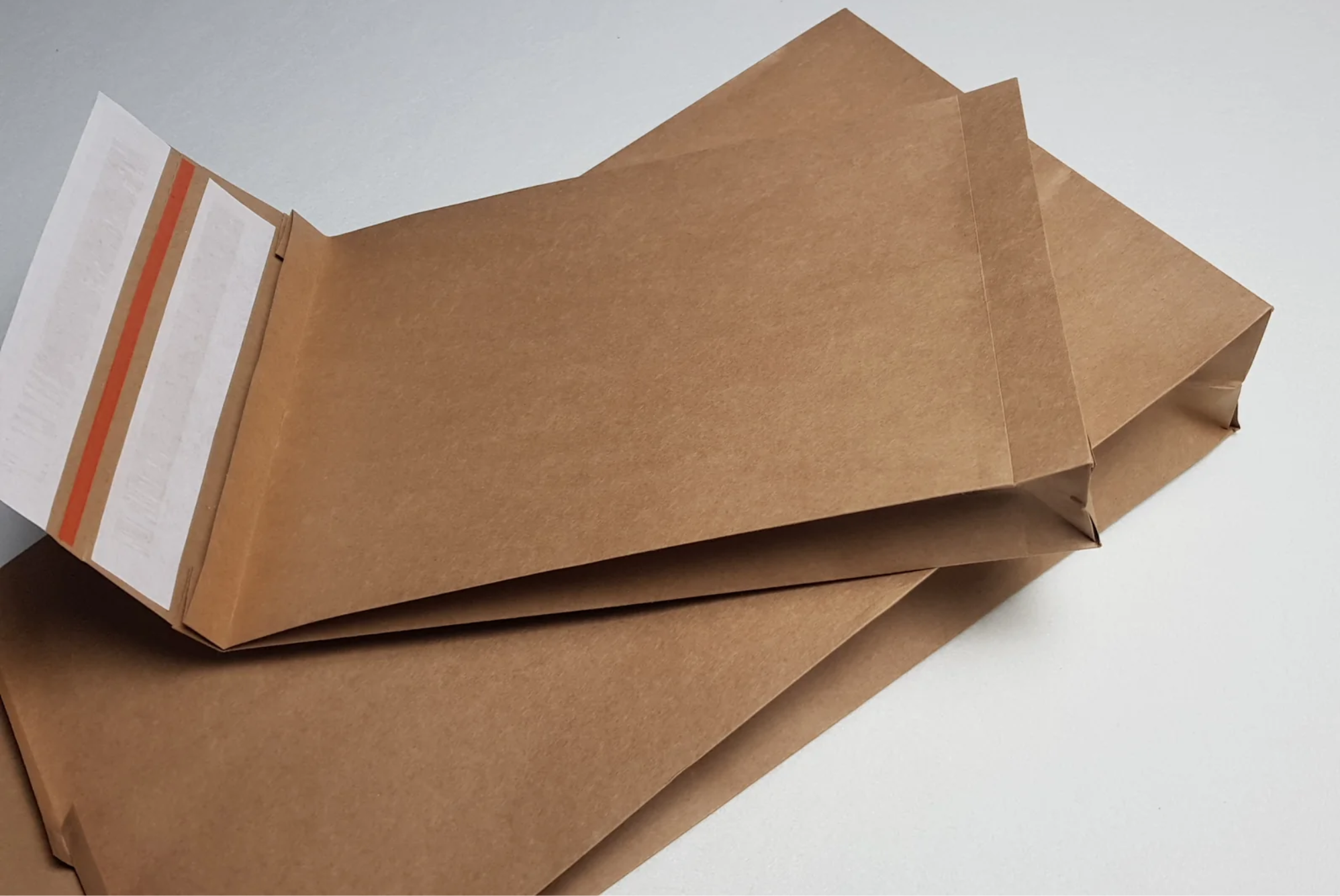 Paper Mailing Bag