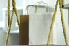 All-Paper Twisted Handle Retail Bags